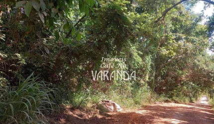 COM 17.575M² EM  FLORESTA PRIMÁRIA...!