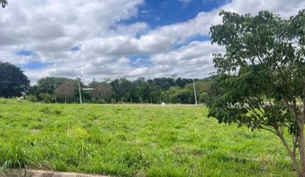 NOVO HORIZONTE