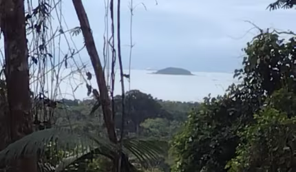 Sitio a Venda São Roque Paraty RJ.