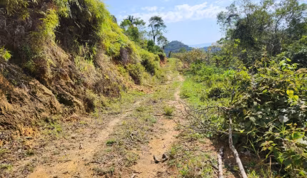 Fazenda a Venda em Paraty Mirim Paraty RJ.