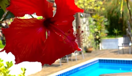 Pousada a Venda com 10 quartos suite em Paraty RJ.