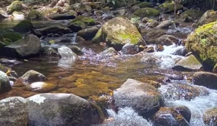 Terreno em Ubatumirim Ubatuba SP.