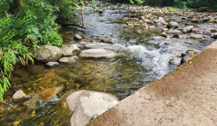 TERRENO A VENDA BARRA GRANDE PARATY RJ.