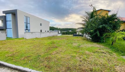 Lote para Venda em Camaçari, Alphaville (Abrantes)