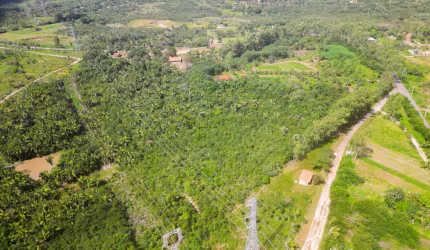 Vendo uma chacará em cajupary com 10ha - (100.000M²)