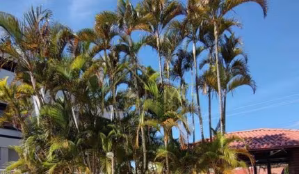 Casa em condomínio à venda próximo da Praia dos Ingleses