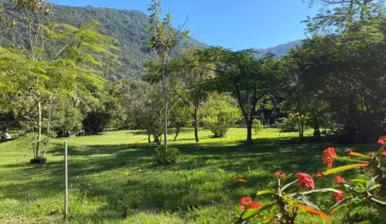 Terreno com água corrente em meio a natureza, norte da ilha, Muquem, Florianópolis, SC