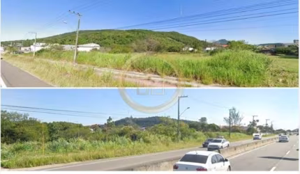 Excelente terreno situado na Rod SC 403, Vargem do Bom Jesus, Florianópolis, SC