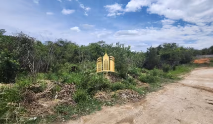 Terreno à venda em Esmeraldas-MG, bairro Nova Esmeraldas, 457,20 m² de área. Aproveite essa oportunidade!