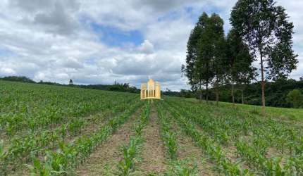Fazenda à venda em Esmeraldas-MG, São José: 7 quartos, 4 salas, 5 banheiros, 10 vagas de garagem, 300m².