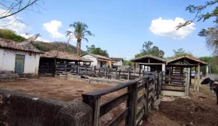 Fazenda Comercial à Venda em Esmeraldas-MG: 4 Quartos, 2 Salas, 2 Banheiros e 2 Vagas de Garagem, 1.570.000 m² de Área - Bairro Cancelinha.