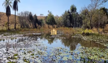Terreno em Vista Alegre