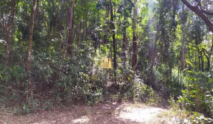Terreno à Venda no Condomínio Nossa Fazenda em Esmeraldas - 5.000 m²