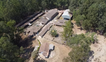 Fazenda completa em Esmeraldas-MG: 301ha, 3 quartos, 1 suíte, 2 salas, 3 banheiros, 10 vagas. Oportunidade única!