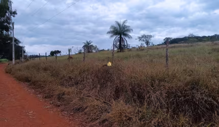 Terreno Comercial à Venda em Esmeraldas-MG, Bairro Cancelinha  43.230m², 2 Banheiros  Oportunidade Imperdível!