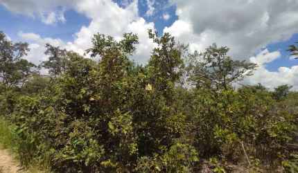 Terreno à venda em Esmeraldas-MG, bairro Campo Alegre, 3.500,00 m² de área - Oportunidade única!