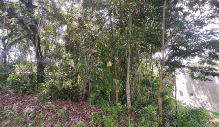Lote Amplo à Venda no Condomínio Solar das Palmeiras em Esmeraldas - 1.175 m²