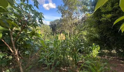 Terreno 5.000m² à Venda na Região Pimenta, Esmeraldas ? Oportunidade por R$250 Mil