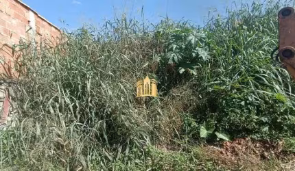 Terreno à Venda em Fernão Dias ? 450m², Plano, R$100 Mil