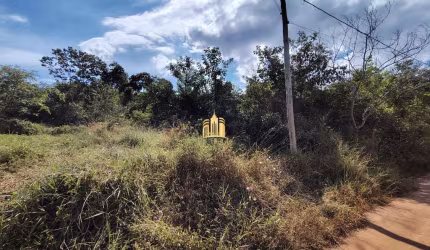 Terreno à Venda Encontro das Águas: 4.076m², Ótima Localização e Topografia!