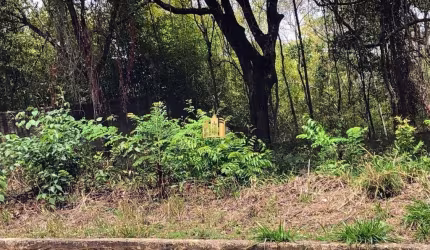 Lote à Venda Condomínio Quintas das Esmeraldas: 4.000m², 53m de Frente e Segurança 24h!