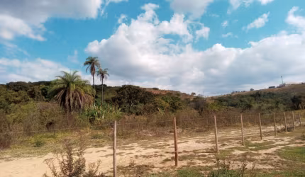 Terreno com 40.000m², pode ser vendido separado.