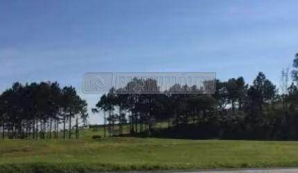 Área - Rodovia Presidente Castelo Branco