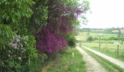 Propriedade Rural Sítio em Araçoiaba da Serra