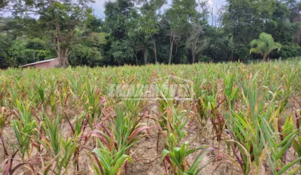 Terreno em Bairros em Araçoiaba da Serra