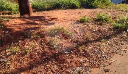Terreno à venda em Jardim Ivone - SP