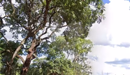 Terreno à venda em Jardim Santos Dumont - SP