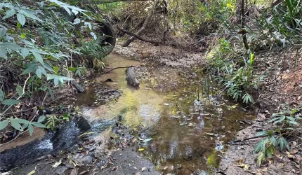 Sítio com 1 quartos à venda em Novo Jardim Pagani - SP