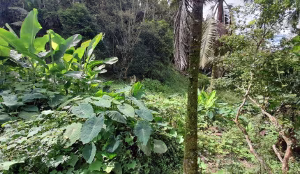 Excelente Terreno em Condominio Fechado!