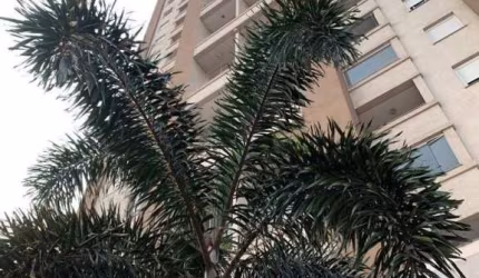 Apartamento com 1 dormitório à venda, 66 m² por R$ 450.000,00 - Centro - Cascavel/PR