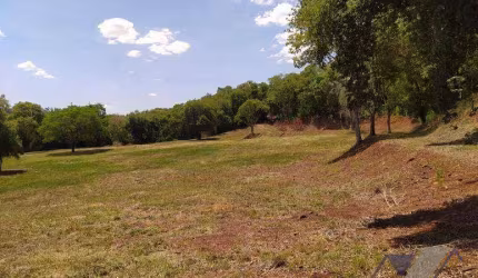 Terreno à venda, 4590 m² por R$ 396.000,00 - Comunidade Alto Alegre - Três Barras do Paraná/PR