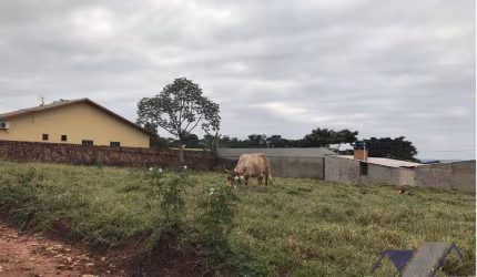 Terreno à venda, 450 m² por R$ 55.000,00 - Centro - Porto Morumbi/MS