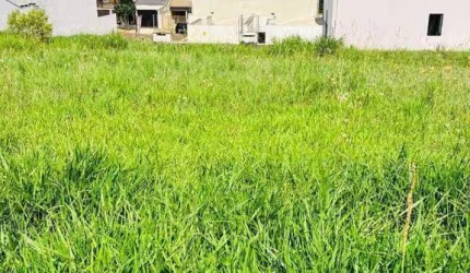 Terreno à venda, 250 m² por R$ 130.000,00 - Florais do Parana - Cascavel/PR