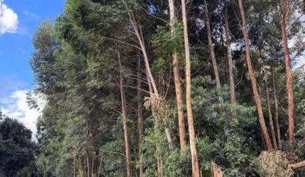 Área à venda, 21000 m² por R$ 1.500.000,00 - Rural - Cascavel/PR