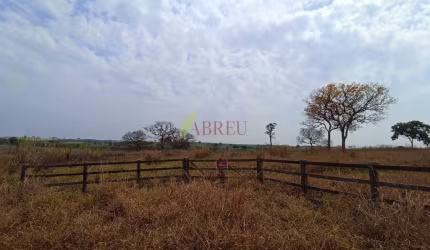 Sítio à venda, 5.8 alqueires por R$ 1.000.000,00 – Zona Rural – Cosmorama/SP
