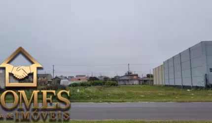 DOIS LOTES EM AV BEM LOCALIZADO IDEAL PARA INVESTIMENTO