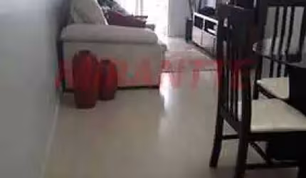 Apartamento de 79m² com 3 quartos em Gopoúva