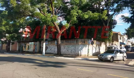 Terreno em Vila Guilherme