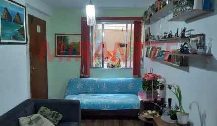Apartamento de 75m² com 3 quartos em Vila Pauliceia
