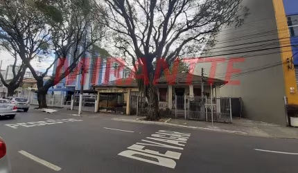 Terreno em Vila Guilherme