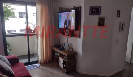 Apartamento de 72m² com 3 quartos em Horto Florestal