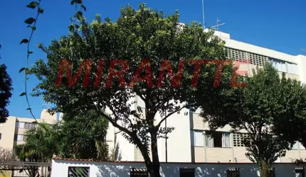 Apartamento de 52m² com 2 quartos em Vila Guilherme