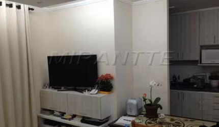 Apartamento de 52m² com 2 quartos em Parque Novo Mundo