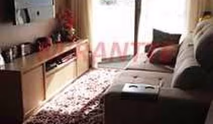 Apartamento de 67m² com 3 quartos em Vila Amalia