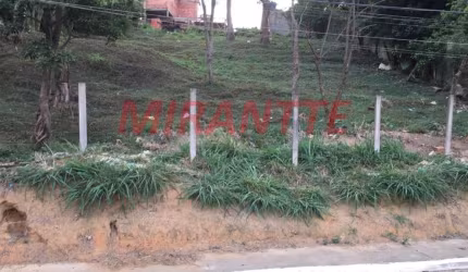 Terreno em Tucuruvi