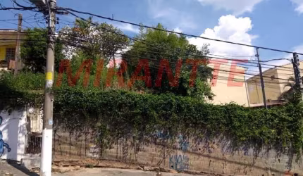 Terreno em Vila Renato